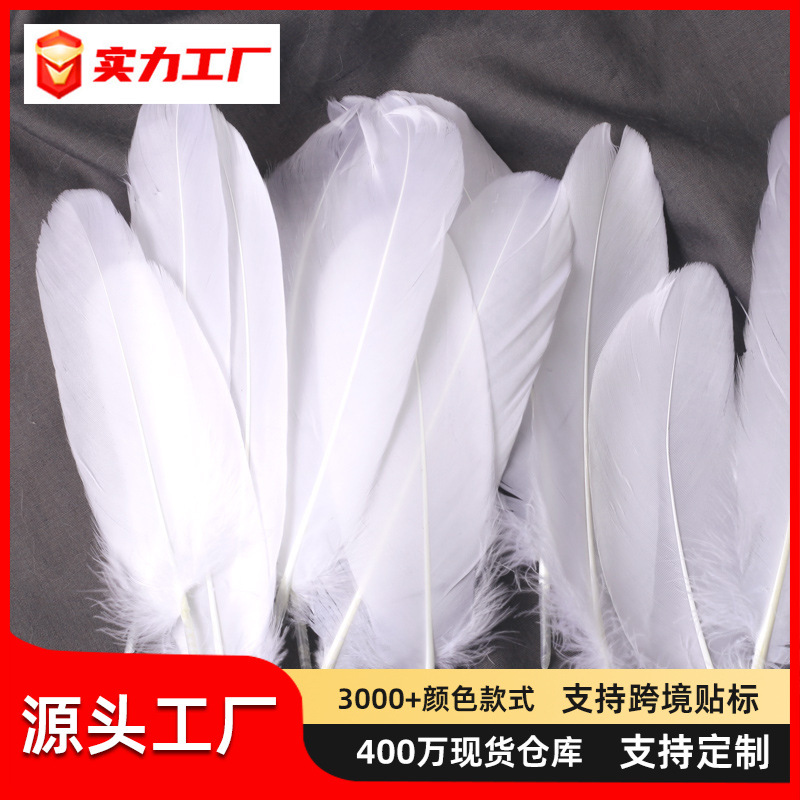 Оптовая фабрика перьев, ракушка, гусиные перья, материалы для рукоделия, украшения ручной работы для детского сада и раннего образования