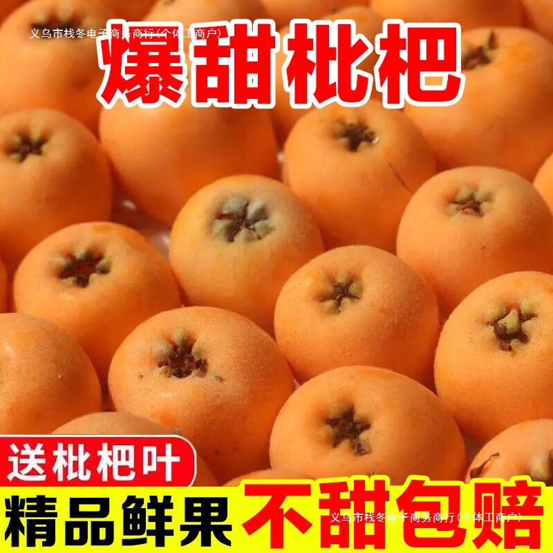 Fresh Seasonal Loquat Fruit from Sichuan High Mountains, Large Five-Star Sweet Loquats, Whole Box Wholesale