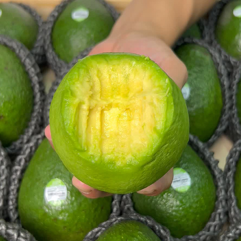 W Mexican Avocado Imported Seasonal Whole Box Free Shipping Fresh Fruit Ready-To-Eat Baby Food Supplement Big Mac Crocodile