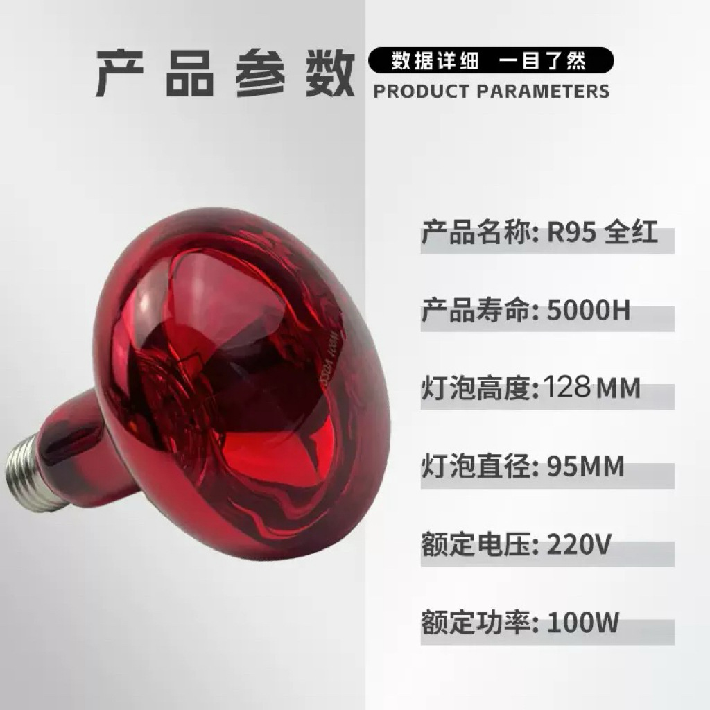 Infrared Light Bulb with Red Coating 100W Lamp for Heating and Incubation of Amphibians, R95 Far-Infrared