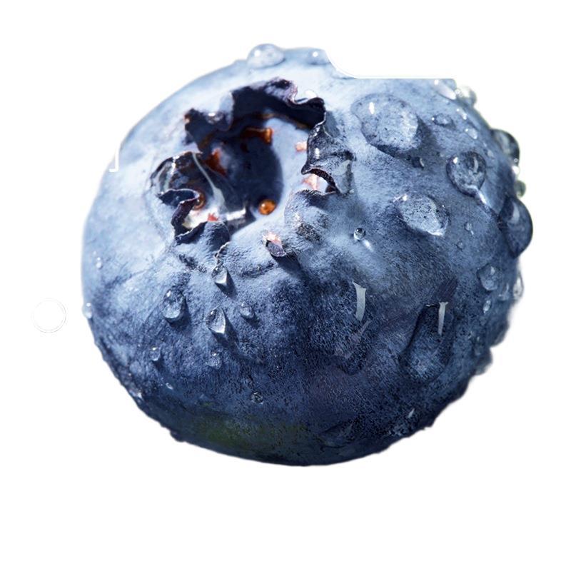 Yunnan Blueberry Fresh Fruit Fresh Classy Fruit Seasonal Yike Alpine L25 Floral Fragrance Pregnant Women Full Box Free Shipping Sf Express