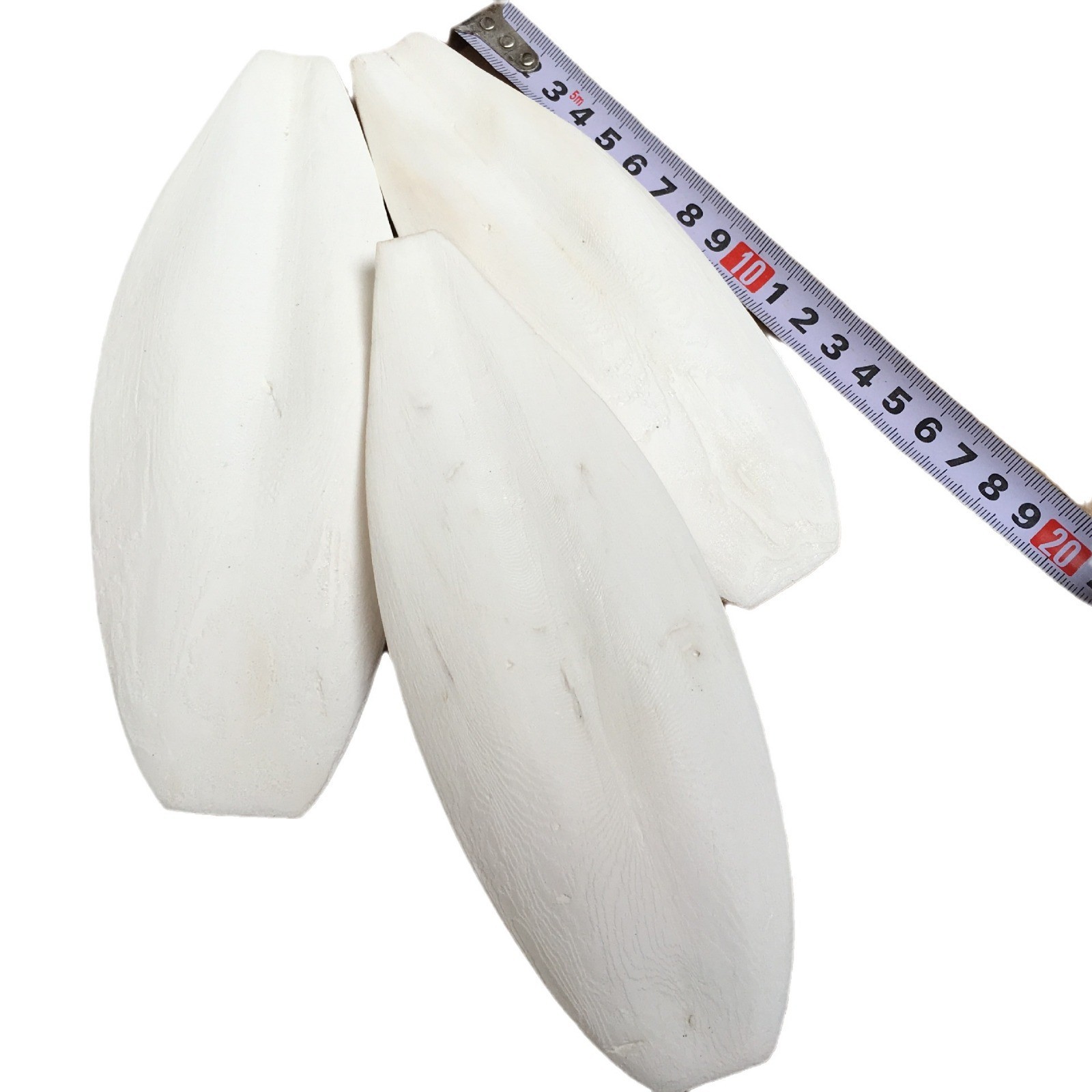 Wholesale Pet Supplies Cuttlefish Bone Trimming and Polishing Jellyfish Climbing Pet Molar Bird Toy Bird Food Cuttlefish Bone