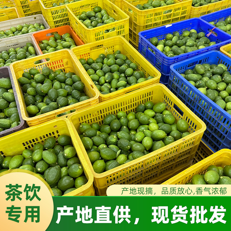 【Direct from the Origin】Guangdong Perfume Lemon Grade 1 Fruit, Fresh for Milk Tea Shops, 5 Pounds 5kg Directly from the Source, Sour and Fragrant