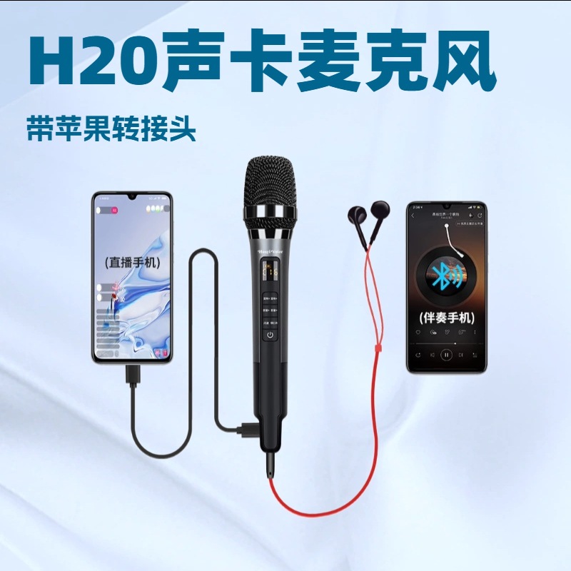 Huayi Voice Factory H20 звуковая карта микрофон H20 звуковая карта микрофон встроенная звуковая карта для пения и живого вещания