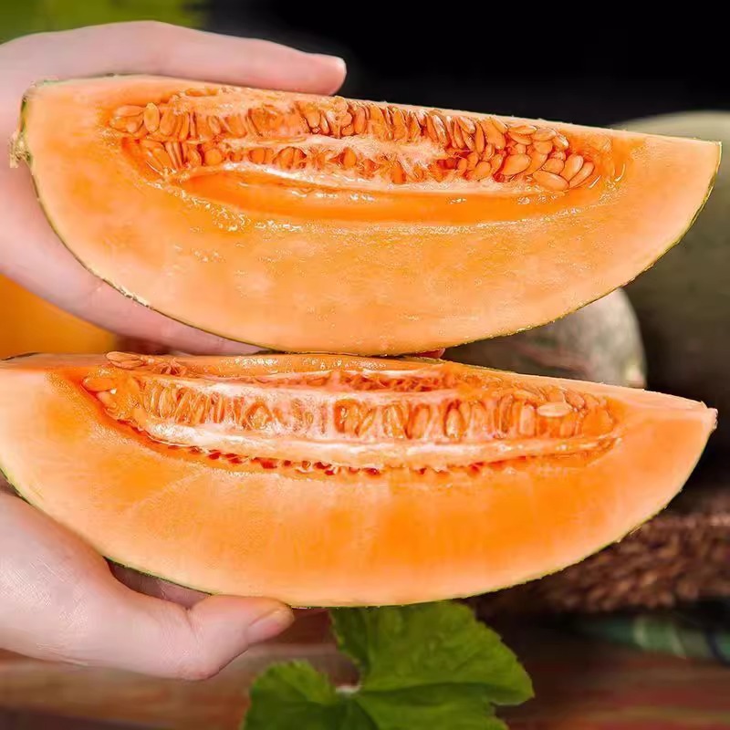 Hainan Cantaloupe, Freshly Picked Net Melon, Authentic Old Man Melon, Xizhou Honey Melon, Seasonal Fruit