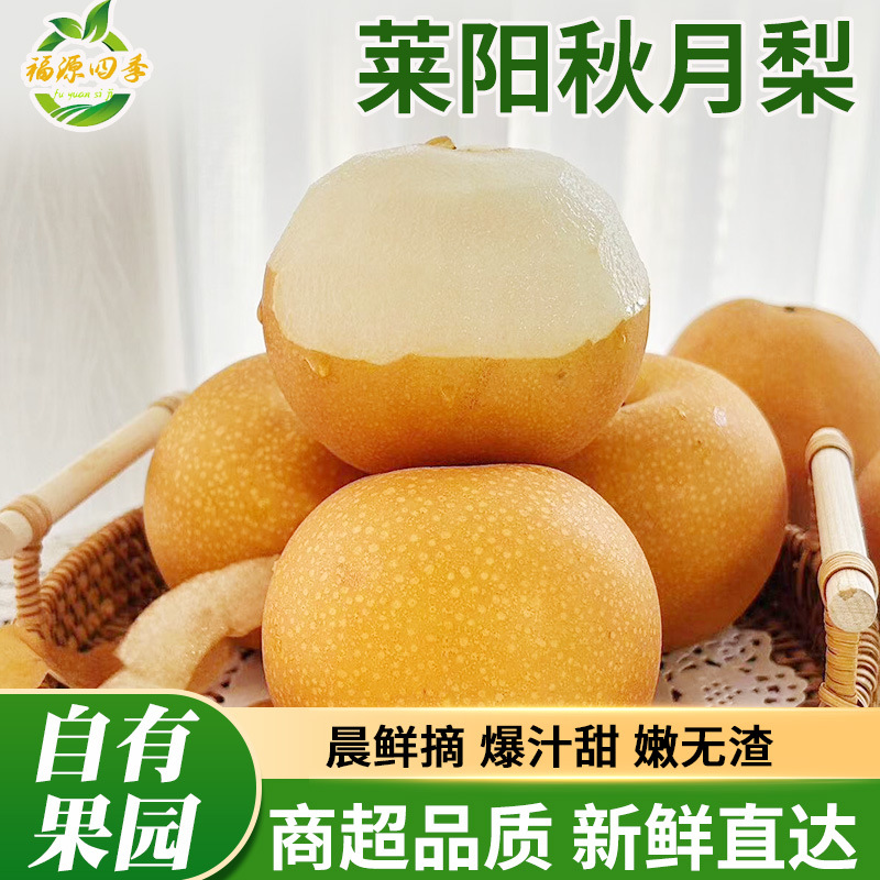 Аутентичные груши Цююэ из Шаньдуня, целая коробка, оптовая продажа, хрустящие, сочные, сладкие груши с тонкой кожурой, свежие фрукты, груша с сахаром