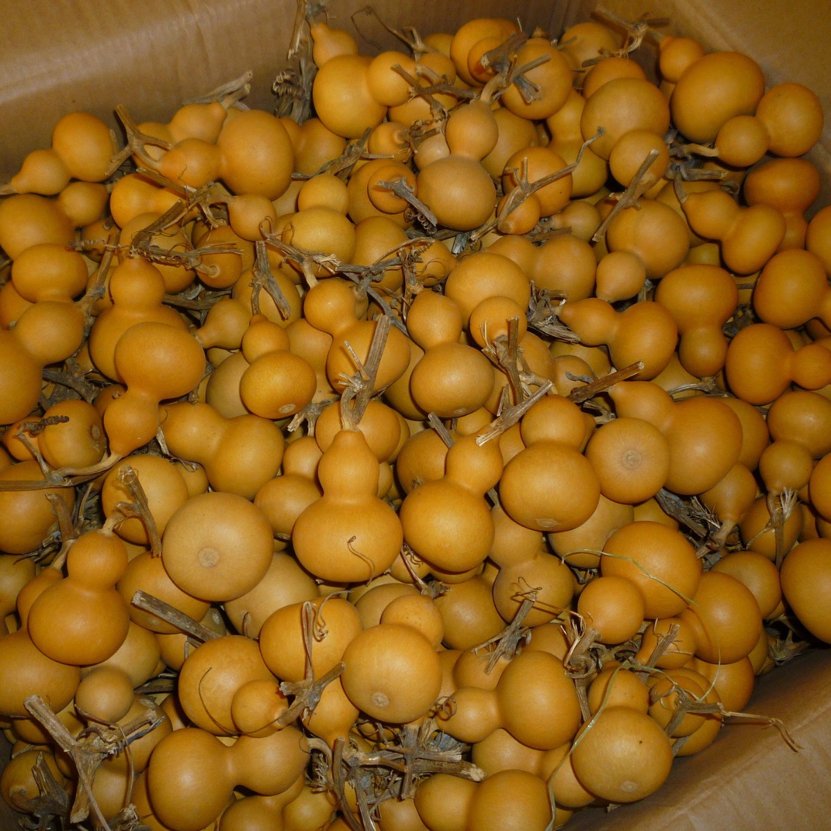 Origin small gourd hand twist gourd Wen play small gourd