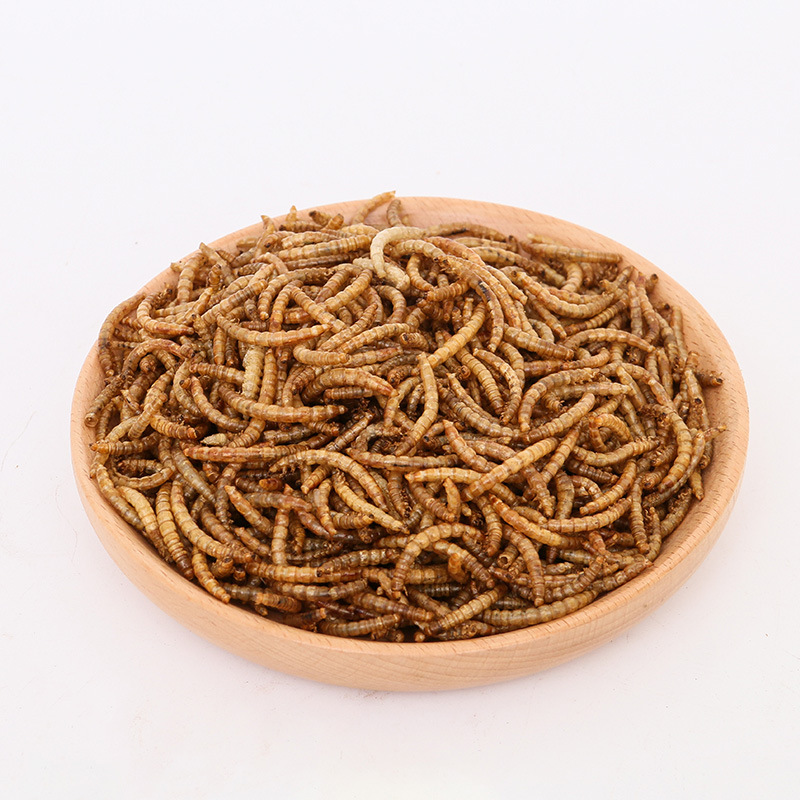 Wholesale Mealworm Mealworm Mealworm Barleyworm Dried Mealworm Dried 1 Ton Factory Direct