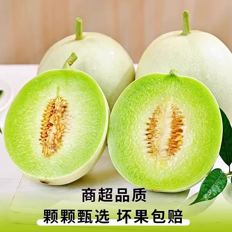 Hainan Jade Mushroom Melon Seasonal Fresh Fruit Ice Cream Melon Soft Glutinous Sweet White Melon Thin Skin Emerald