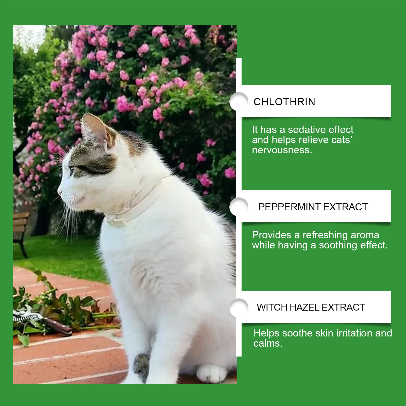 Yegbong Cat Emotional Care Set Pet Cat Comfort, Calmness, Estrus, Anxiety, Emotional Noise Reduction Care