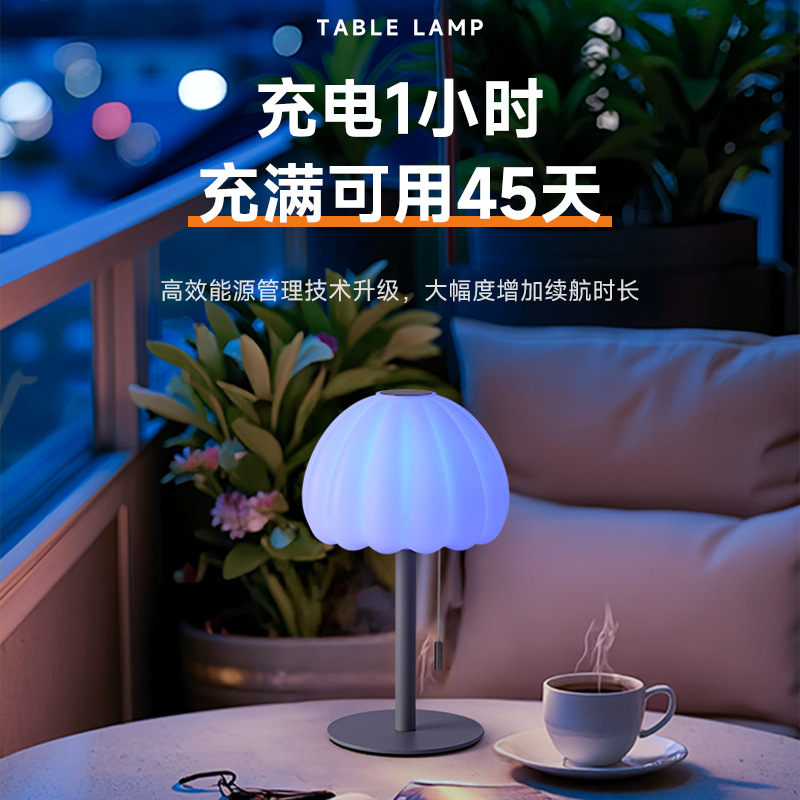 New Multifunctional Small Table Lamp with Retro Simple Style Pull-Tab Switch Top Touch Switch High-End Table Lamp