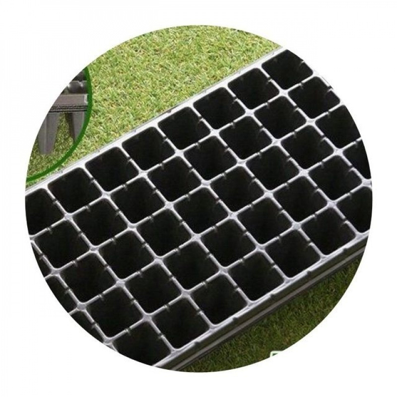 Seedling Tray Tomato Pepper Plug Tray Seedling Succulent Leaf Insert Box Vegetable Seedling Tray Strawberry Cultivation Pot