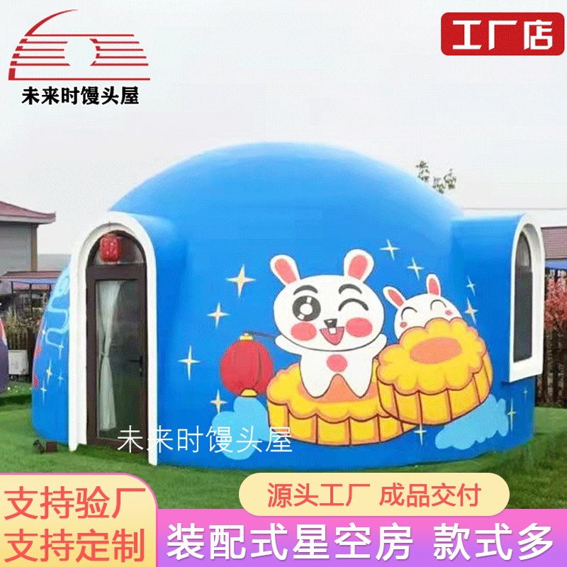 Outdoor Spherical Internet-Famous Starry Sky House Homestay Prefabricated Modular Assembly Bubble House Camping Homestay House