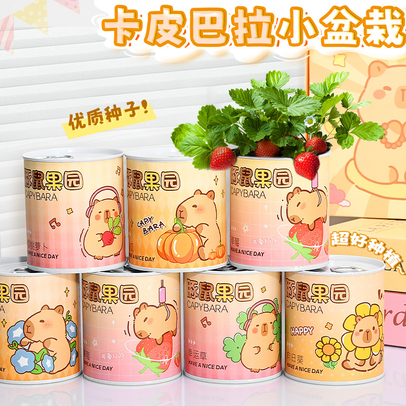 Children's Reward Small Gift Pull-Tab Canister Potted Indoor Mini Desktop Green Plant Trendy Canned Decorative Small Potted Plant