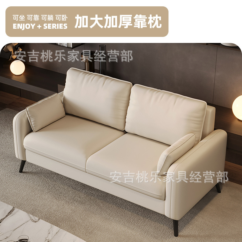 Sofa Small Apartment Rental House Diswashable Technology Cloth Sofa Living Room Clothing Store Rest Area Reception Double Small Sofa