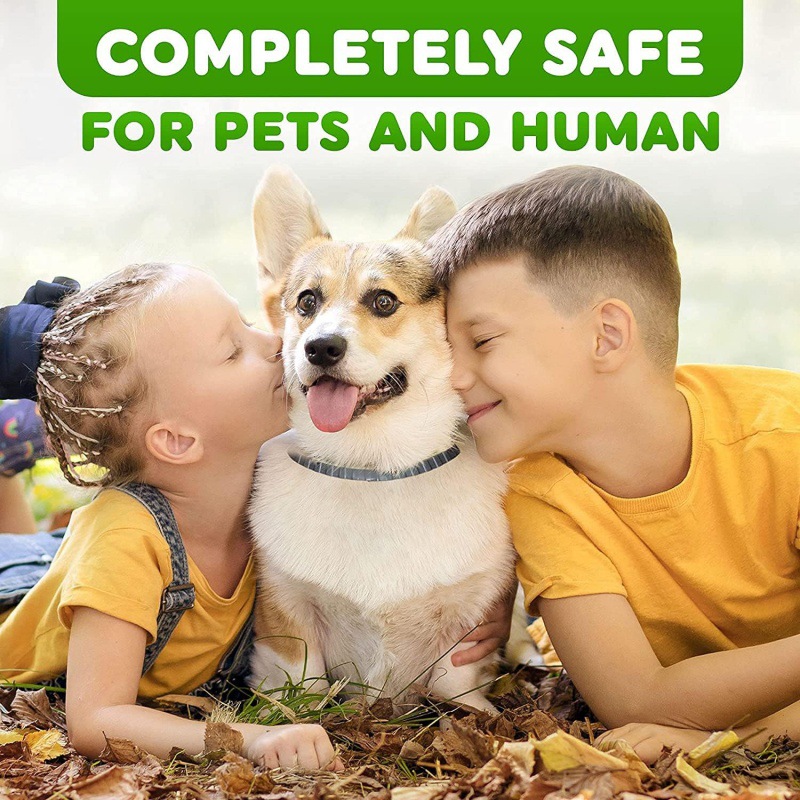 New Cross-Border Flea Removal and Tick Prevention Cat Flea Collar Pet External Insect Repellent Collar Dog Cat Collar Cat