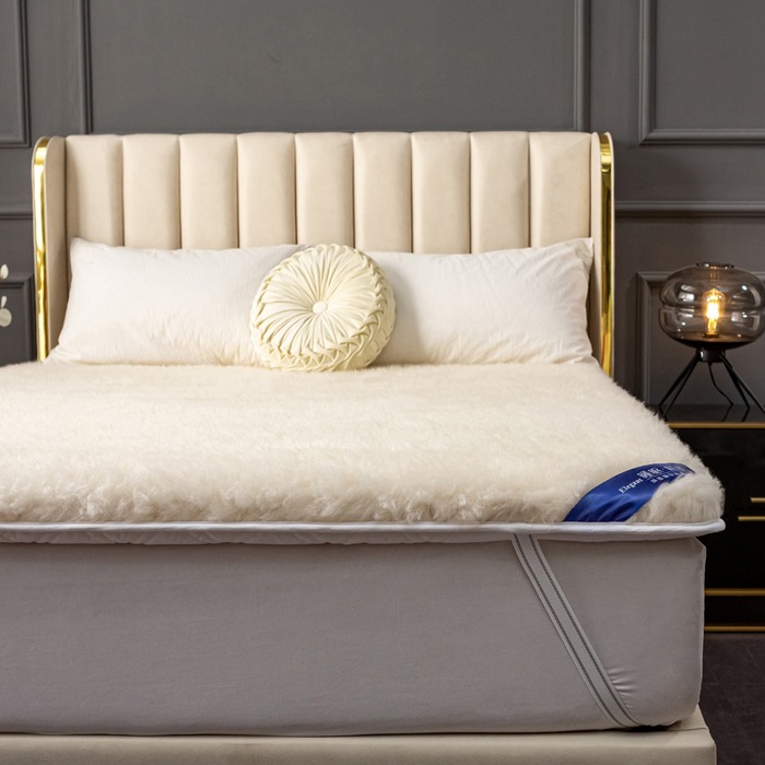 Foreign Trade Wool Mattress Cushion Home Bedroom Winter Lamb Velvet Blanket Single Winter Thickeneded Thermal Pad Quilt