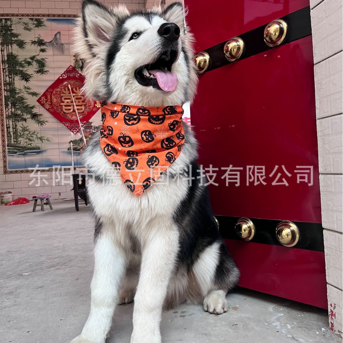 Pet Halloween Pumpkin Triangle Scarf Pet Clothes Pet Saliva Scarf Dog Saliva Scarf Cat Scarf