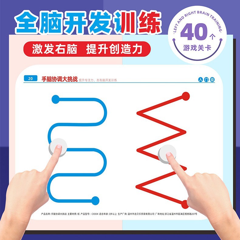 Left and Right Brain Development Toys for Young Children Whole Brain Thinking Training Concentration Attention Fine Movement Exercise Teaching Aid