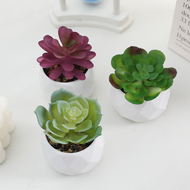 Ready-Made Artificial Succulent Potted Plants, Diamond Imitation Ceramic Plastic Pots, Cross-Border Hot-Selling Home Landscaping Decoration Ornaments Wholesale