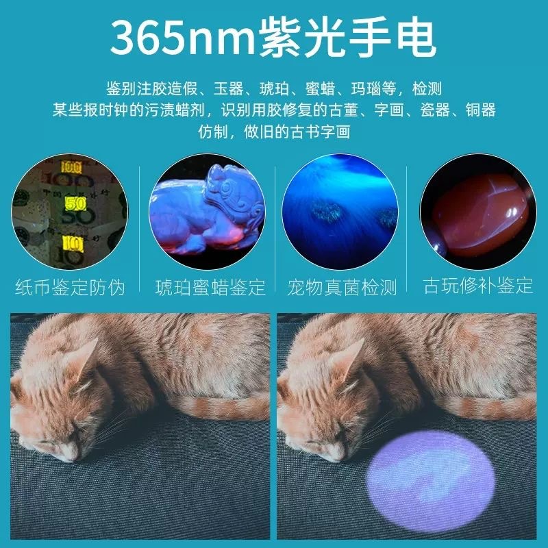 Wood's purple light detector lamp uv365 fluorescent agent detection cat moss lamp vegetable detection lamp rechargeable flashlight