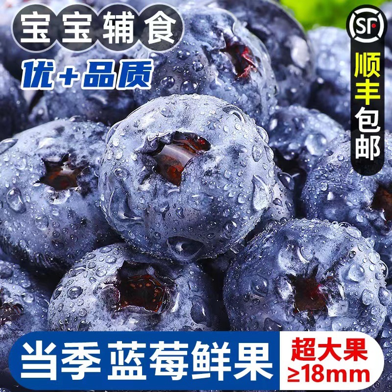 Sf Cold Chain Blueberry Fresh Dandong Large Blueberry Non-Yunnan Yikeberry Baby Auxiliary Blueberry Fresh Fruit