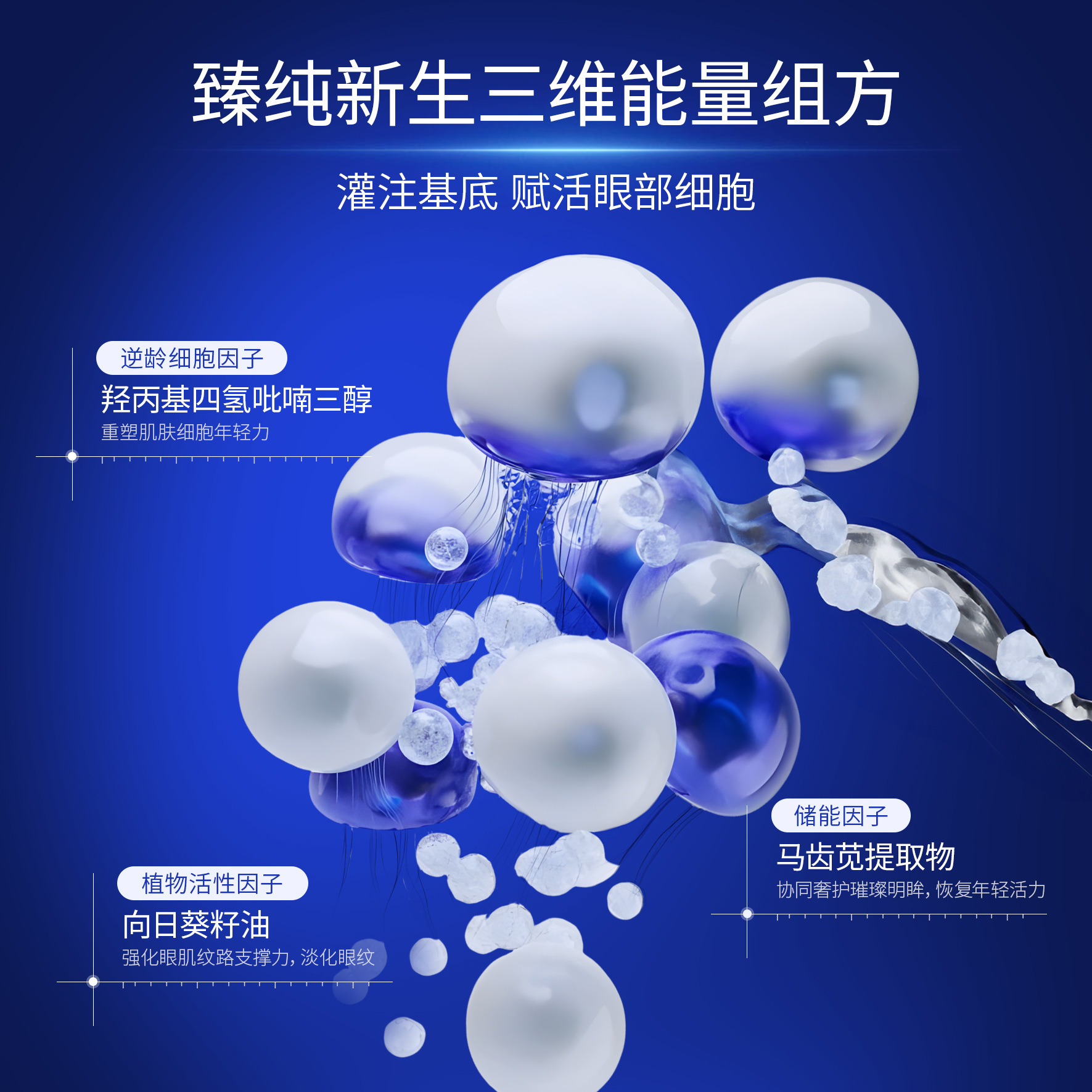 Oem/Odm Full Range of Skin Care Product Brands Customized Eye Care Eye Wrinkle Type Lightening Lines Firming Eye Cream Around the Eyes