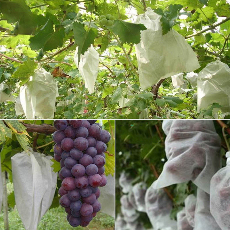 Non-Woven Fruit Bagging, Tying Wire, Grape Bag, Anti-Bird and Insect-Proof Water, Special Fruit Bag, Seedling Bagging, Spot Wholesale