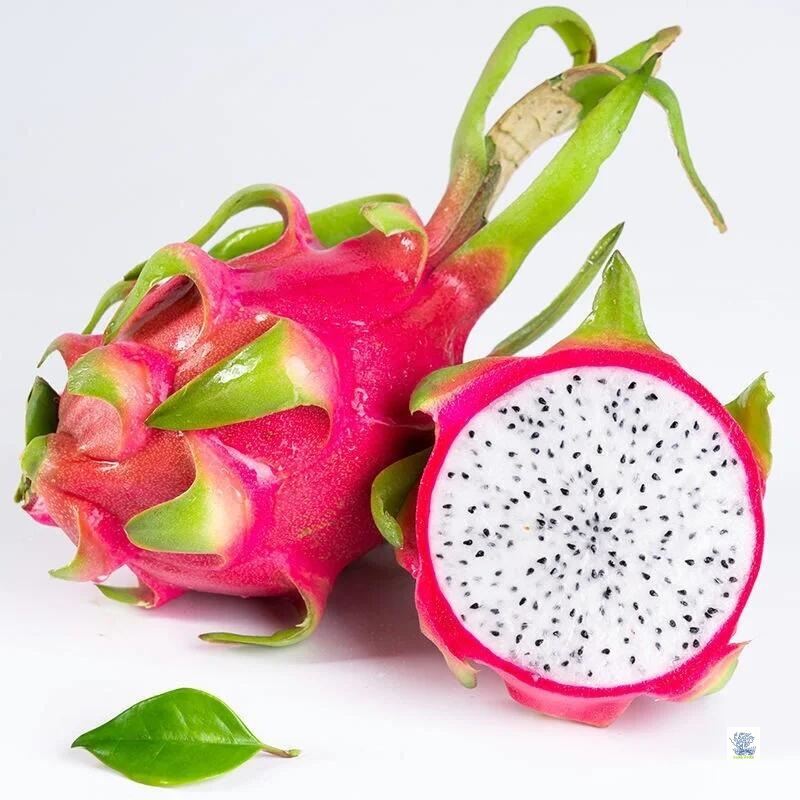 White Heart Dragon Fruit, Fresh Imported from Vietnam, Selected Natural Large Tropical Fruits, Sweet, Juicy, Crispy and Refreshing