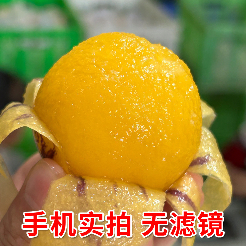 Yunnan Shilin Ginseng Fruit 2.5kg Fresh Large Fruit Ginseng Fruit Colorful Yellow Flesh Tree Ripe Fruit Round Fruit Free Shipping 3