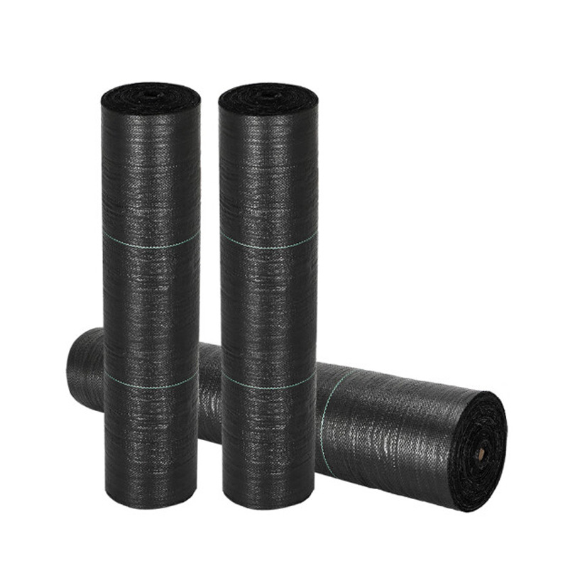 Pp Weed Control Fabric for Gardening, Greenhouse, Orchard, Fruit Tree, Breathable, Water-Permeable, Weed Suppression, Brand New Material Gardening Weed Control Fabric