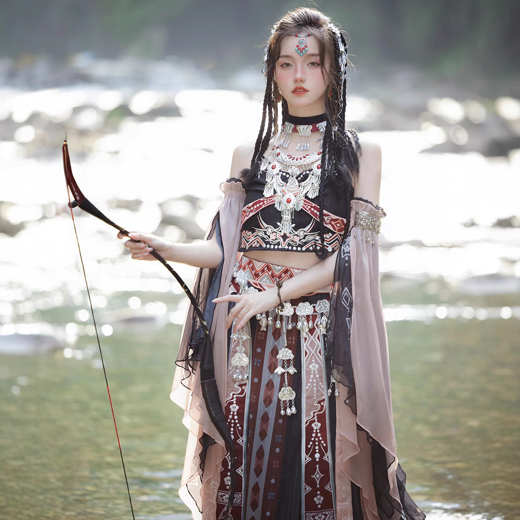 Ethnic Minority Costume Exoticism Hanfu Black Hani Printed Embroidery Silver Jewelry Full Studio Photo Dress