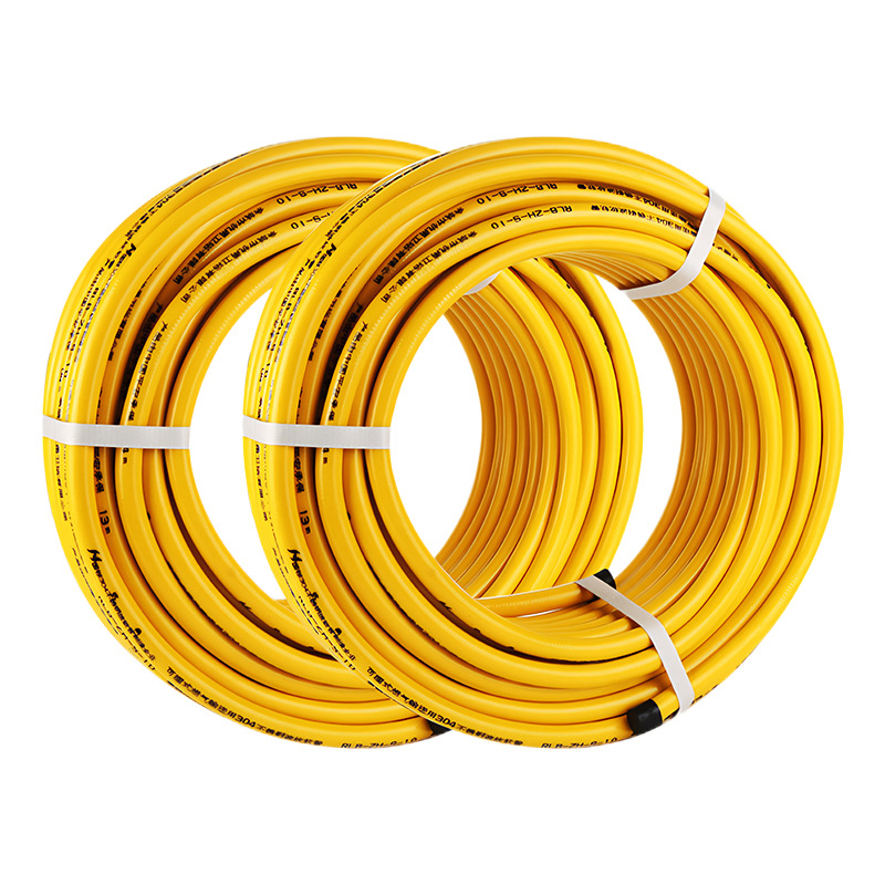 304 Stainless Steel Gas Pipe for Natural Gas, Liquefied Gas, Corrugated Pipe, 3/4 Inch, Household Metal Explosion-Proof Flexible Hose