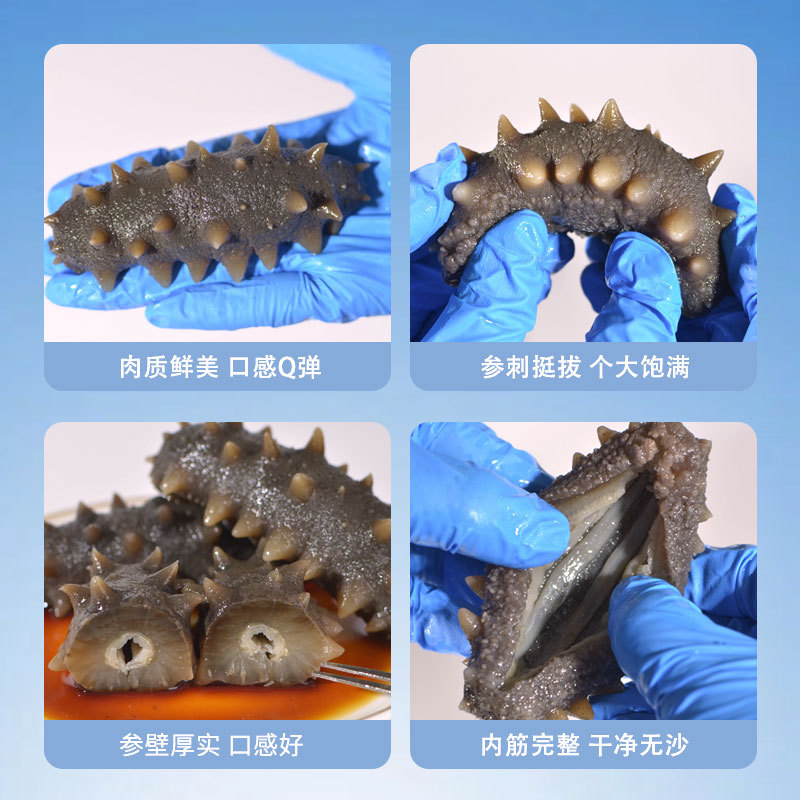 Dalian Ready-To-Eat Sea Cucumber Deep Sea Cucumber 6-12 Heads Ready-To-Eat Sea Cucumber Gift Box Fresh Sea Cucumber 500g Wholesale Sea Cucumber