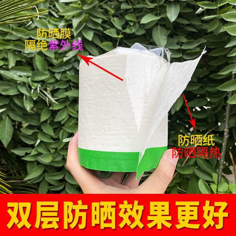 Citrus Sun Protection Stickers, Sun Fruit Stickers, Fruit Sun Protection Paper, Citrus Sun Protection Stickers, Fruit Rain Protection and Sunshade