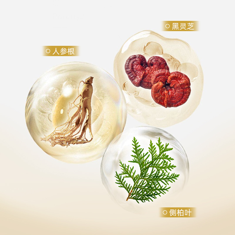 [Delivery Within 48 Hours] Su Xiuchen's Platycladus Leaf Ganoderma Ginseng Shampoo Is Refreshing, Oil-Controlling, Fluffy and Smooth