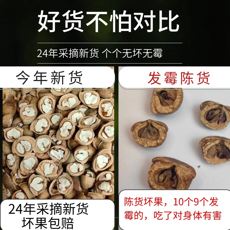 Guangxi Fengliu Fruit Wild Yin Yang Zi Double Kidney Fruit Herbal Wine Ingredients Benefits Stone Fruit Soaked Dried Fruit