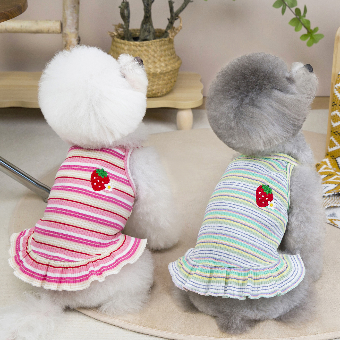 Pet Clothes Spring and Summer New Arrival Striped Strawberry Skirt Teddy Bitter Panda Kitty Small Dog Summer Princess dress