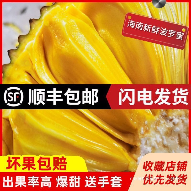 Hainan Sanya Jackfruit, a Whole Fresh Fruit, Freshly Picked in Season, Wholesale Thai Jackfruit