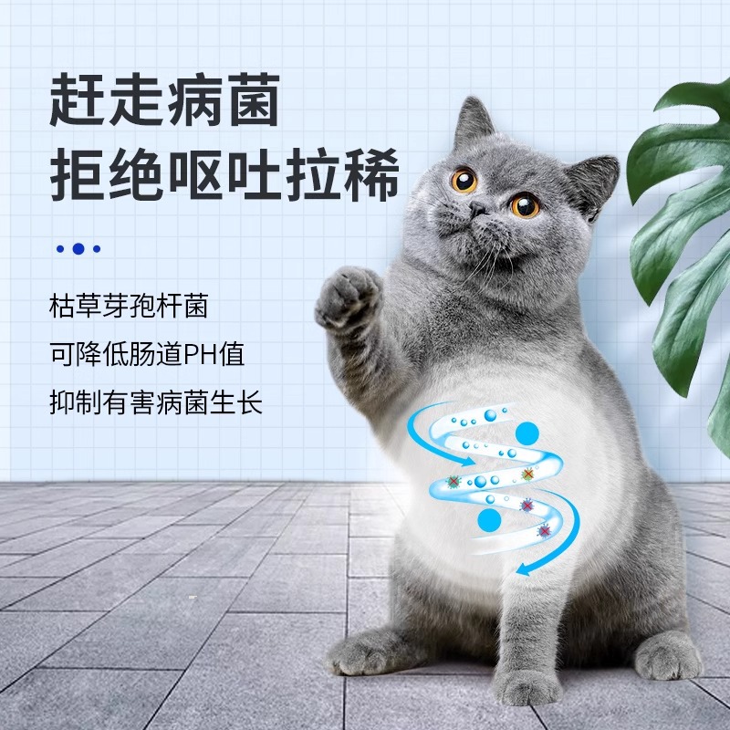 New pet health dog probiotics pet nutritional supplement probiotics teddy cat special probiotic powder