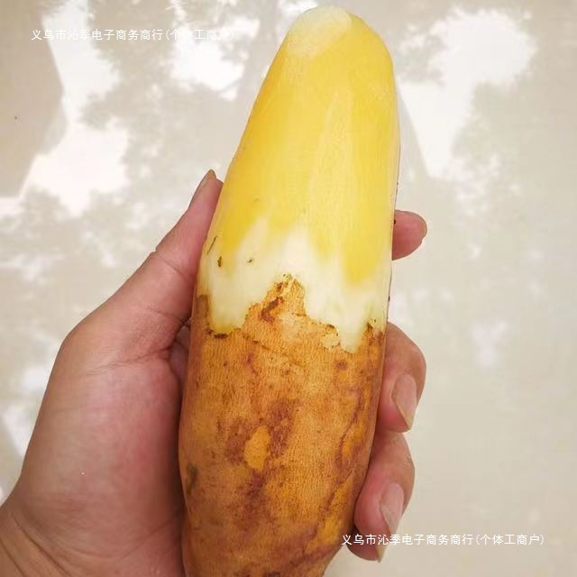 [Free Shipping Wholesale and Retail Yunnan Huangxin Tianshan Snow Yacon Fresh Fruit Whole Box Free Shipping One Third Other