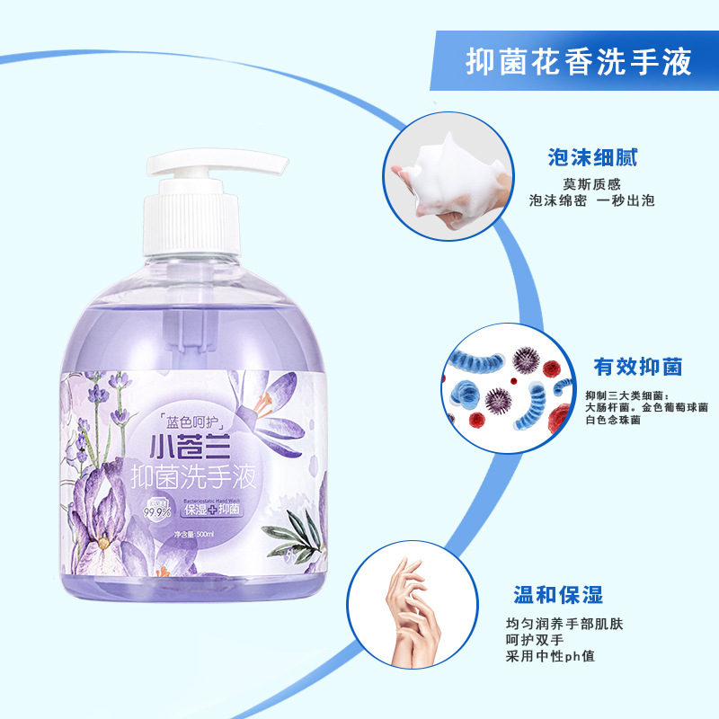 Blue Care Floral Antibacterial Hand Cleanser 500ml Household Perfume Grade Fragrance Cleansing Gentle Moisturizing Spot