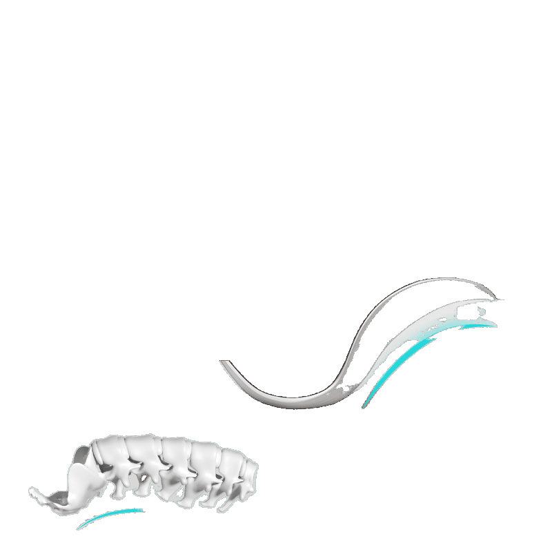 Lumbar Support Cushion for Prolonged Sitting, Ergonomic Chair Backrest for Office Use