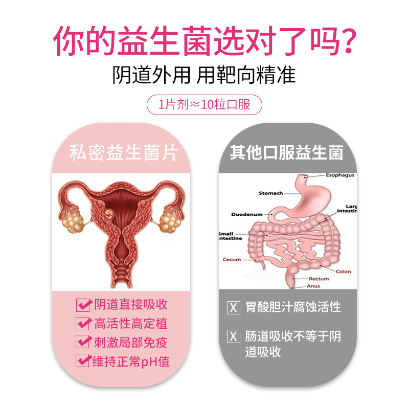 Gynecological Private Probiotic Tablets Factory Women's Private Parts Active Antibacterial Tablets Cleaning and Maintenance Private Special Probiotics