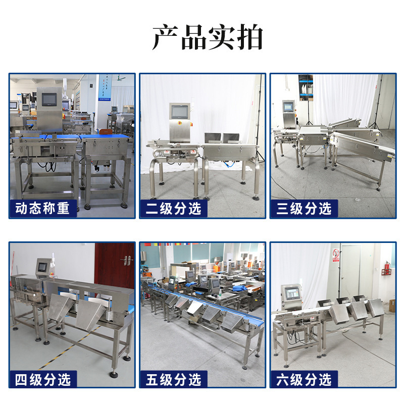 Dynamic Weighing Scale, Daily Automatic Belt Inspection Machine, Industrial Weight Sorting Scale, Assembly Line Weighing Machine, Sorting Machine