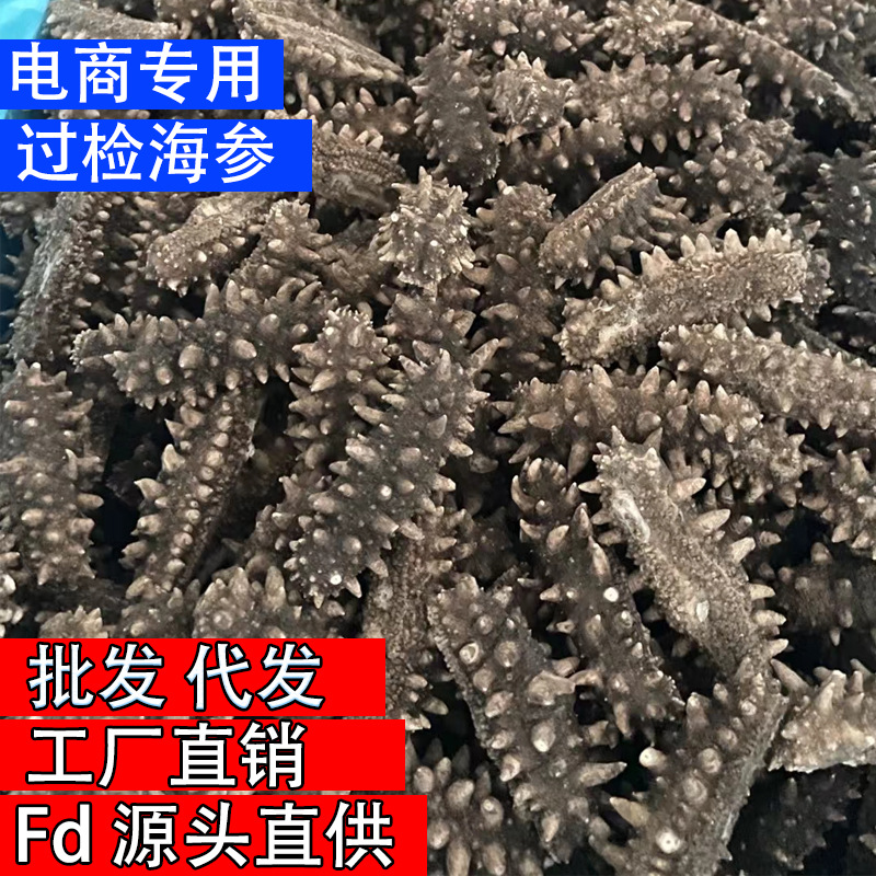 Сушеный морской огурец от одного кусочка, оптовая продажа, подарочная коробка