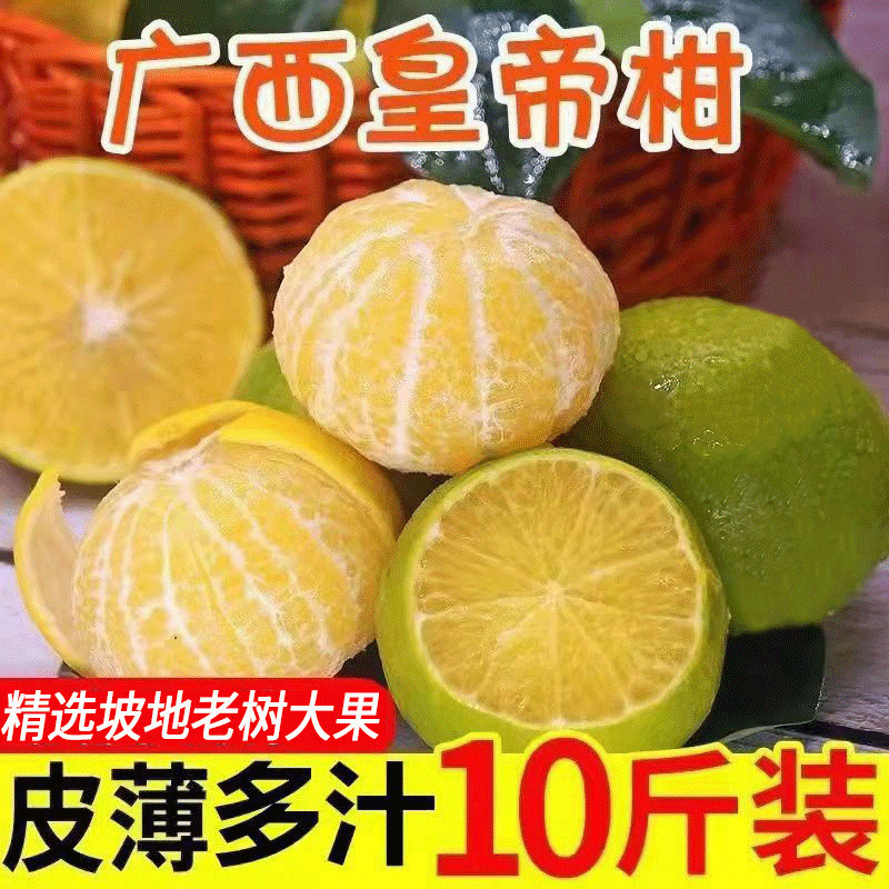 Fresh Mandarin Oranges/Guomandarin Oranges/Citrus Thin-Skinned Wholesale Oranges