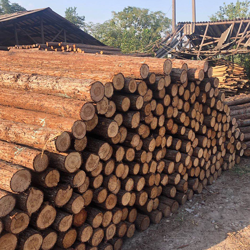 Wood piling woodworking ground River embankment fir pile slope protection renovation wood pile factory direct wholesale piling wood