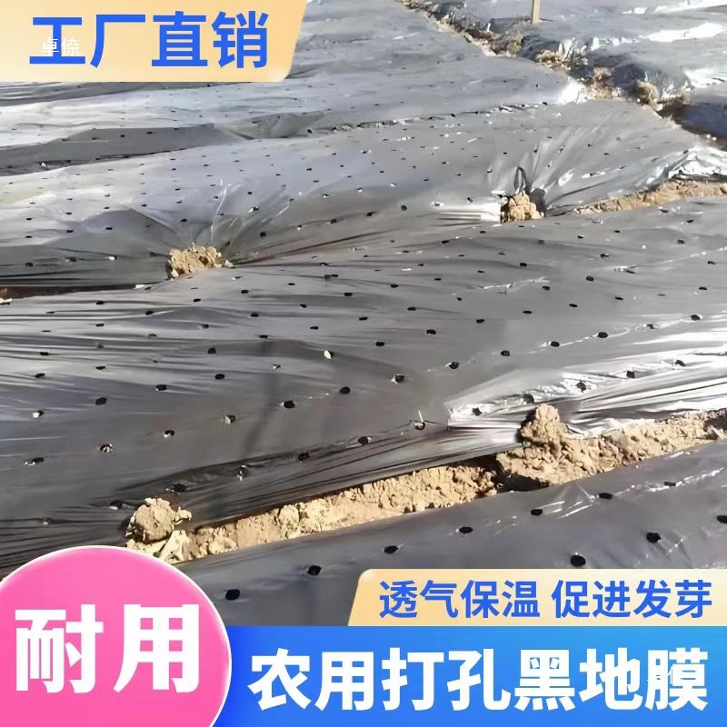 Hole-Punched Planting Mulch Film Silver-Black Weed Control Film Fruit Tree Insulation Moisture Retention Breathable Plastic Film for Medicinal Materials