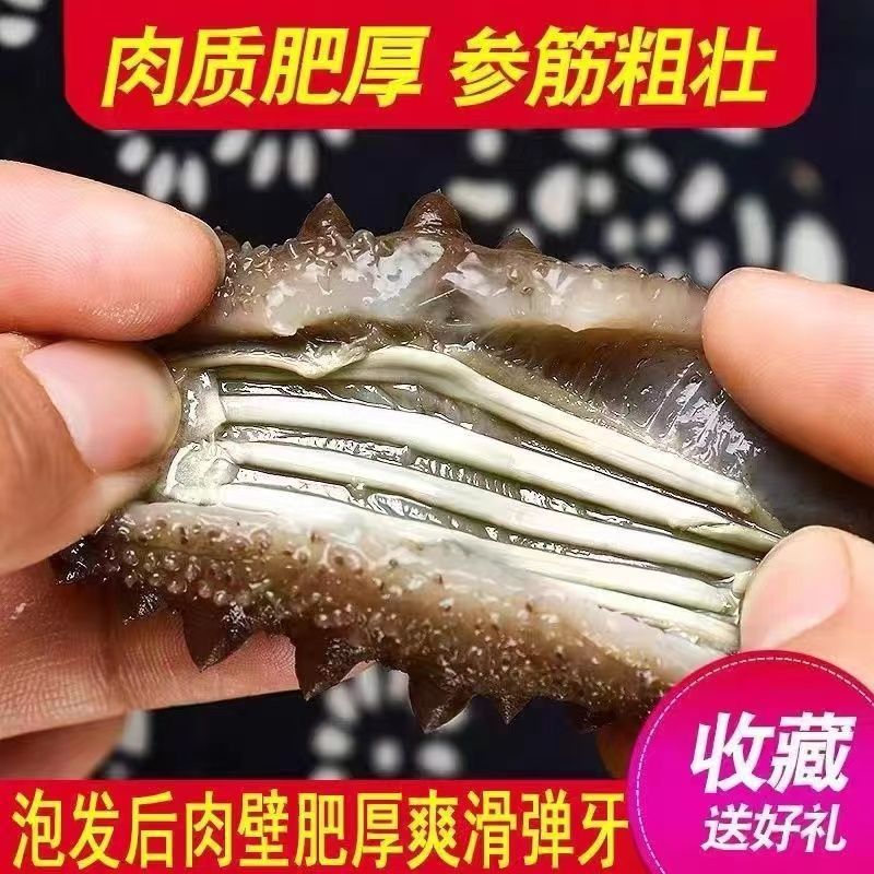 Selection of 【】Dalian Wild Sea Cucumber Dry Goods Non-Ready-To-Eat Liaoning Sea Cucumber Light Dry Sea Cucumber Gift Box Batch